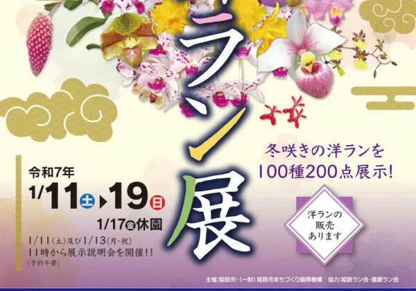 冬咲き洋ラン約100種類が手柄山温室植物園に集結