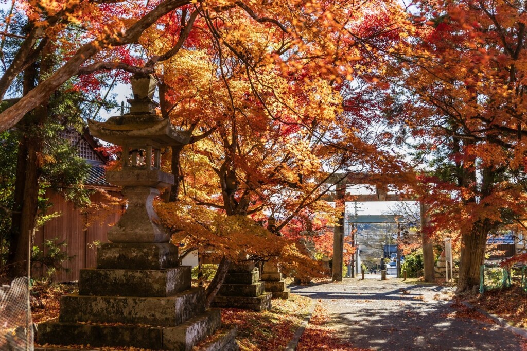 姫路・林田八幡神社