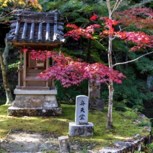 姫路　八徳山八葉寺