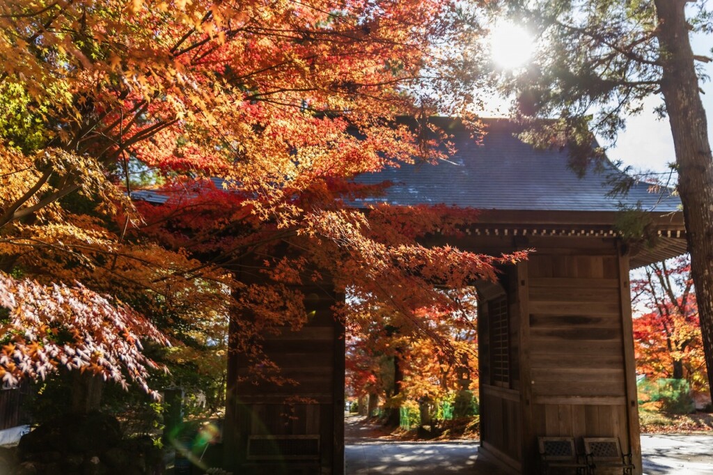 姫路・林田八幡神社