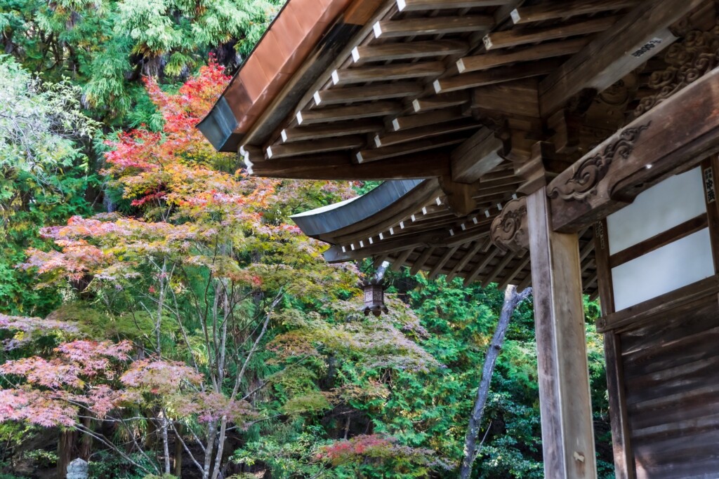 姫路　八徳山八葉寺