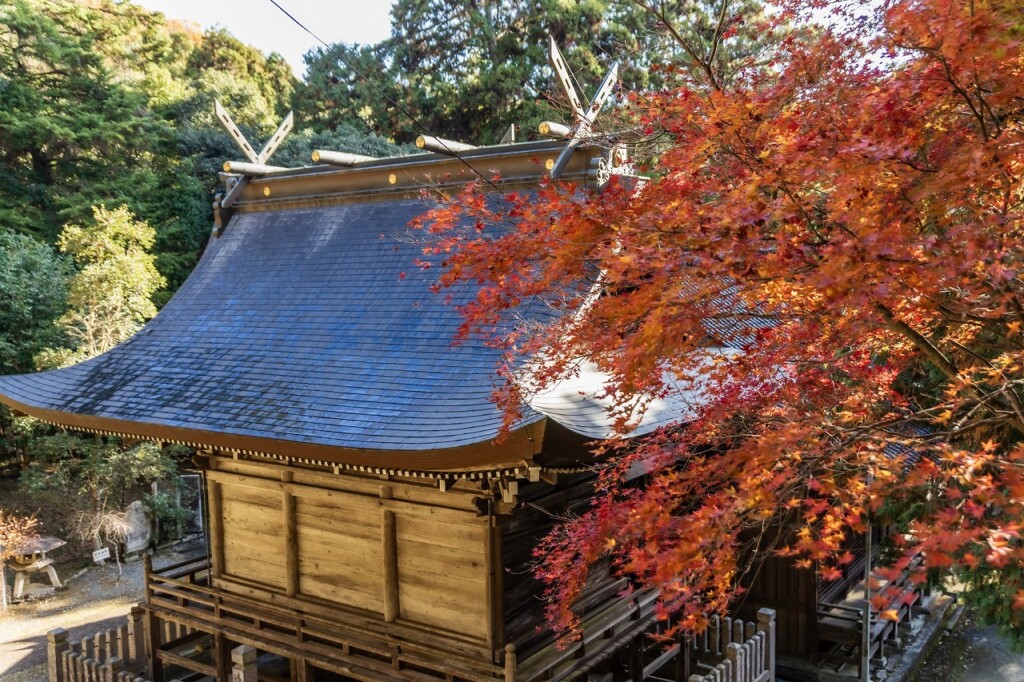 姫路・林田八幡神社