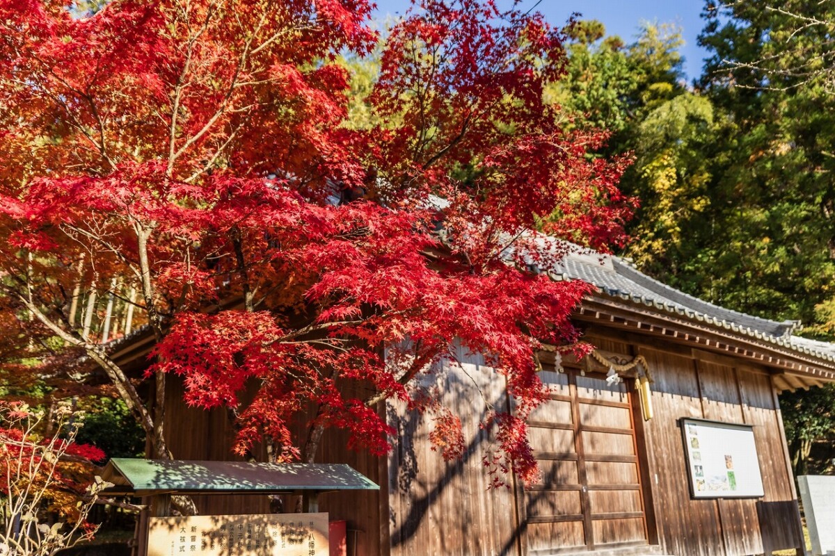 姫路・林田八幡神社