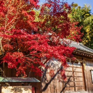 姫路・林田八幡神社