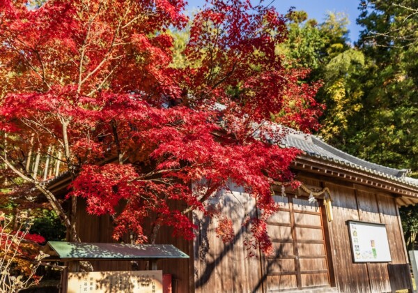 姫路・林田八幡神社