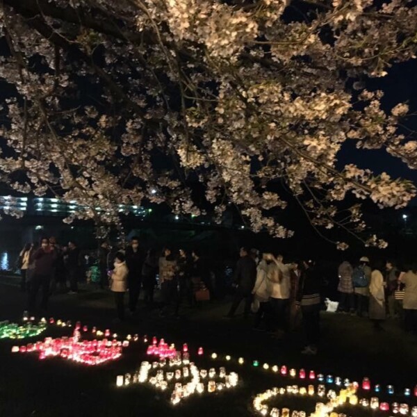 姫路 夢咲さくらキャンドルナイト