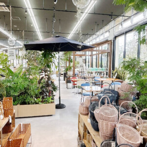 アグロガーデン山吹店 カフェ たね匙 ジェラート 園芸