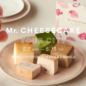 姫路 山陽百貨店 チーズケーキ