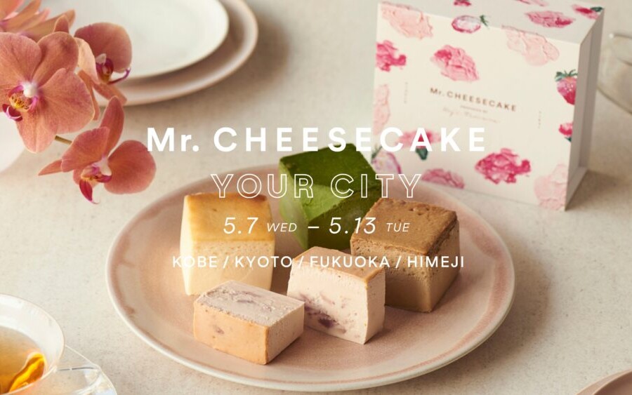 姫路 山陽百貨店 チーズケーキ