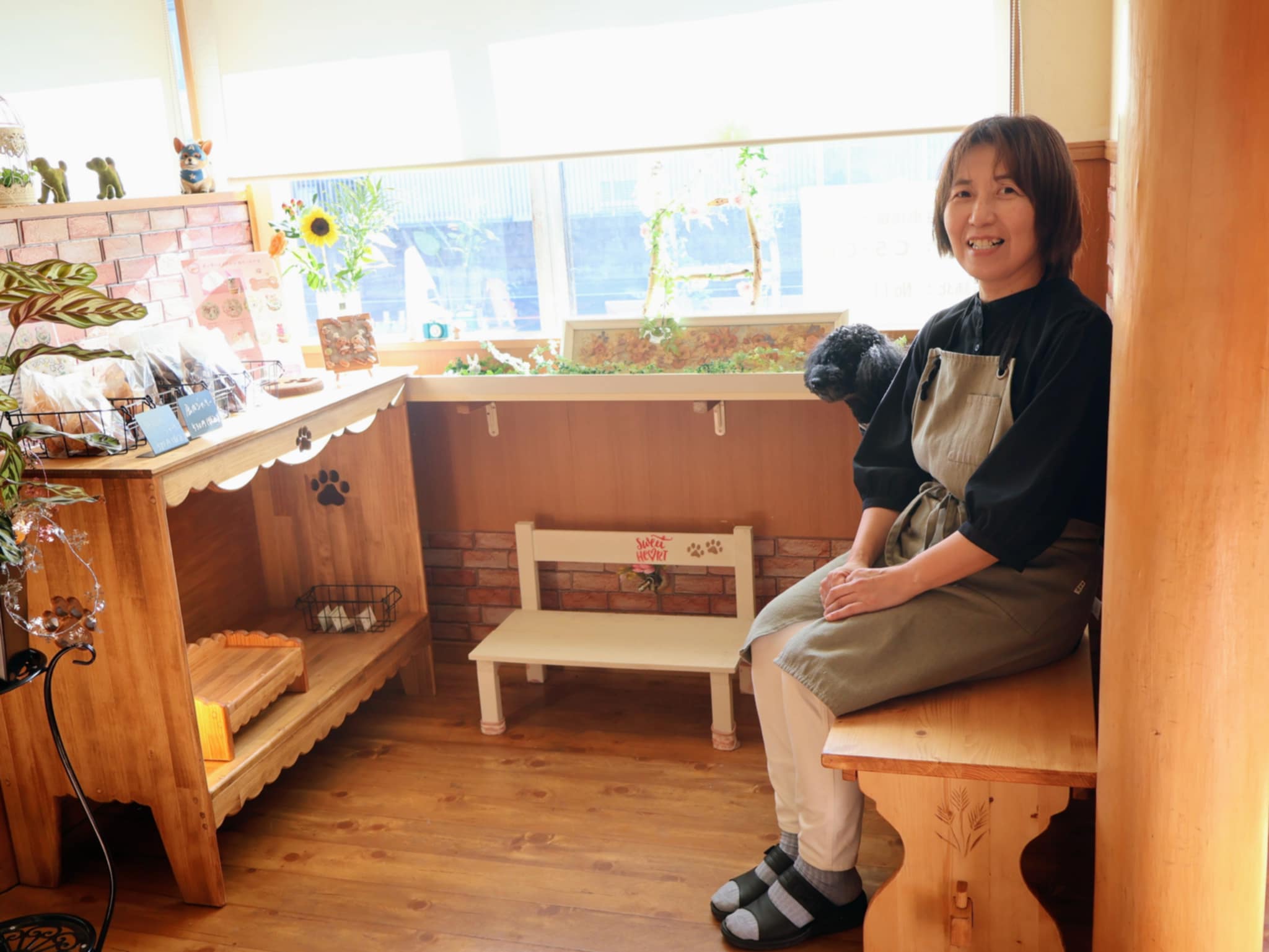 nico 姫路 シフォンケーキ ペット 犬