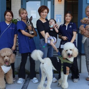 ドッグケアハウスワン　犬　トリミングサロン　姫路