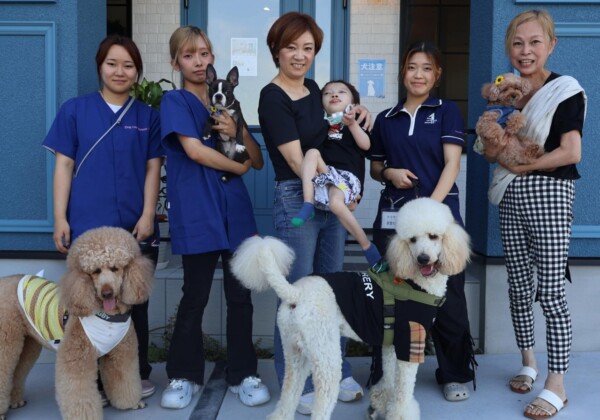 ドッグケアハウスワン　犬　トリミングサロン　姫路
