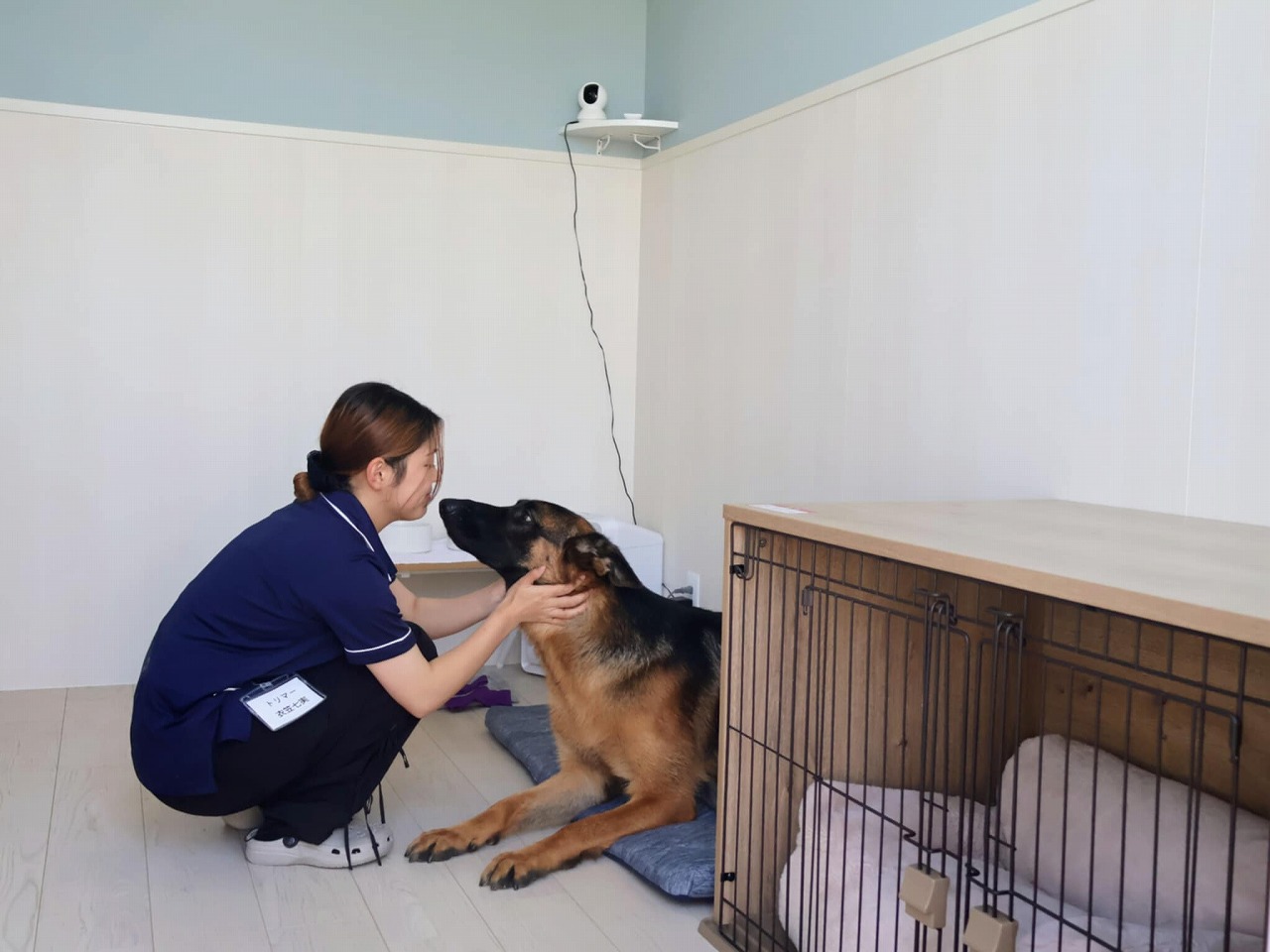 ドッグケアハウスワン　犬　トリミングサロン　姫路