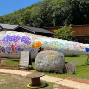 姫路　ザッパ村　クジラデザイン
