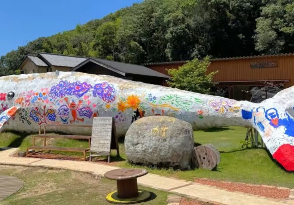 姫路　ザッパ村　クジラデザイン