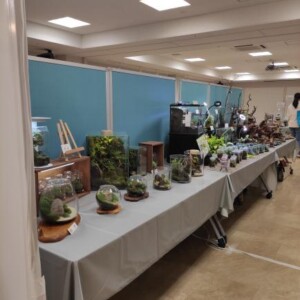 播州苔展　姫路手柄山