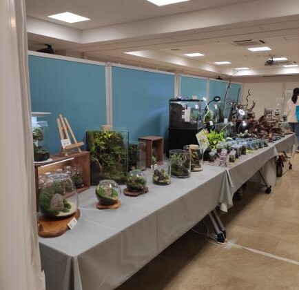 播州苔展　姫路手柄山