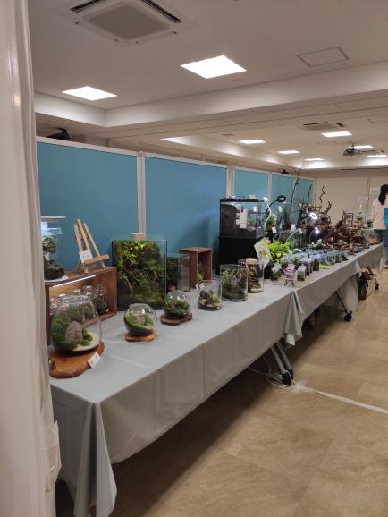 播州苔展　姫路手柄山