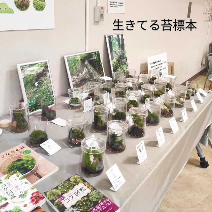 播州苔展　姫路手柄山