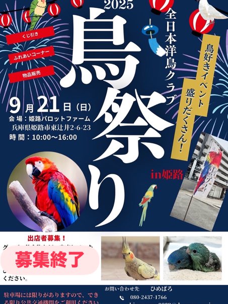 姫路　鳥祭り
