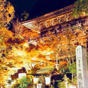もみじまつり　書写山　姫路 イベント