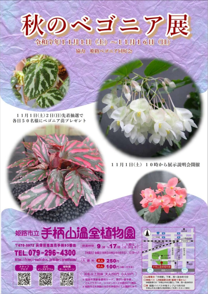 姫路 手柄 ペゴニア展