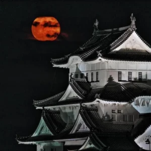 姫路　観月会　姫路城と月