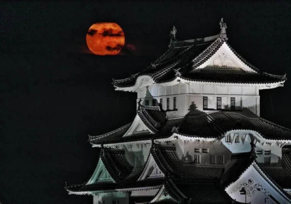 姫路　観月会　姫路城と月