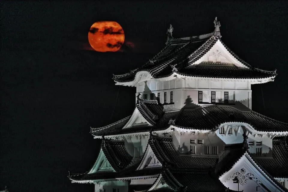 姫路 観月会 姫路城と月