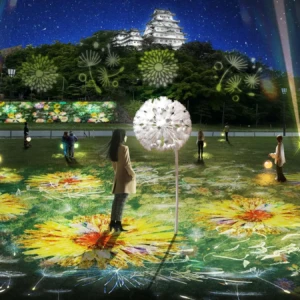 DANDELION　姫路城