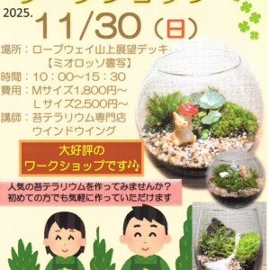 テラリウム　ワークショップ　姫路