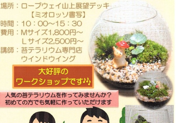 テラリウム　ワークショップ　姫路