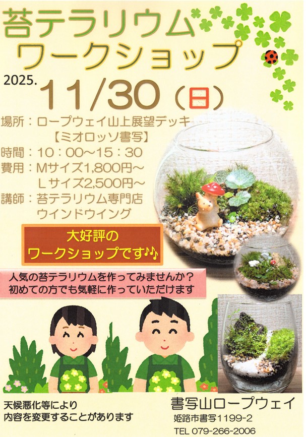 テラリウム　ワークショップ　姫路