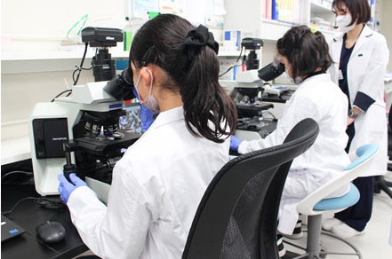 病院探検 　はり姫　姫路