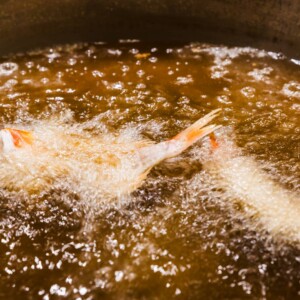 だん乃 てんぷら 姫路スパイス