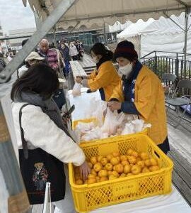 姫路　安富ゆずフェア