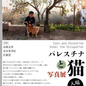 パレスチナと猫展 姫路
