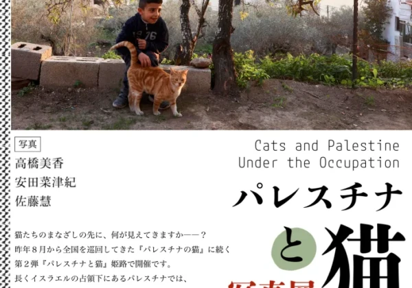パレスチナと猫展 姫路