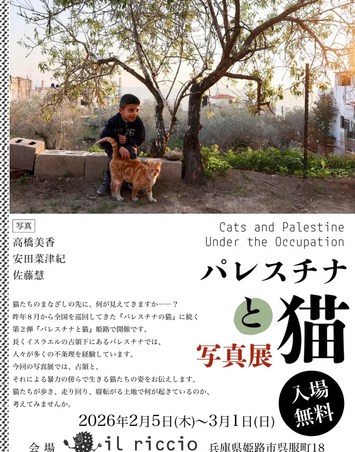 パレスチナと猫展 姫路