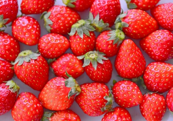 姫路　いちごフェア