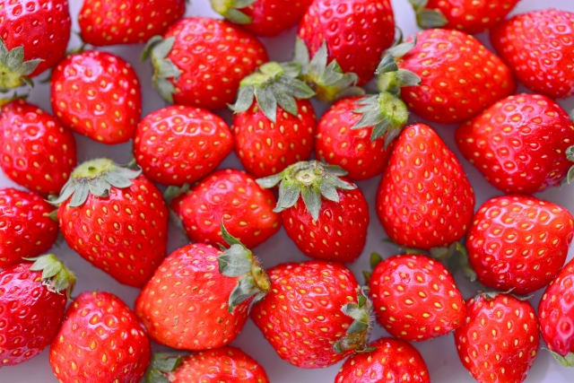 姫路 いちごフェア