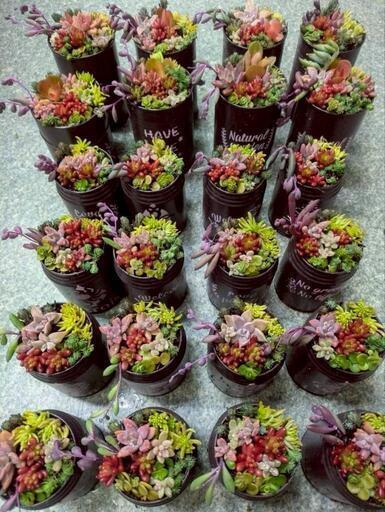 姫路　あぼし朝市