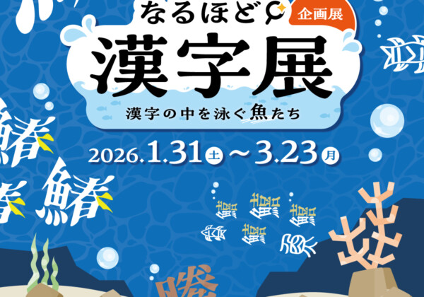 姫路市　水族館　イベント