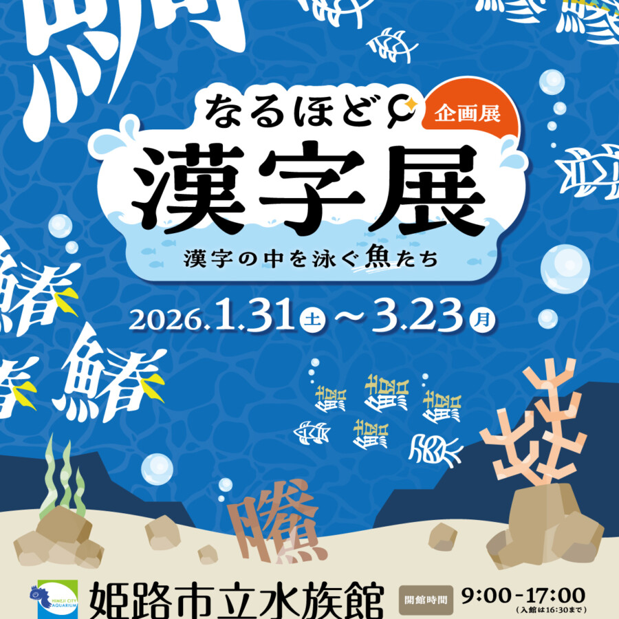 姫路市　水族館　イベント