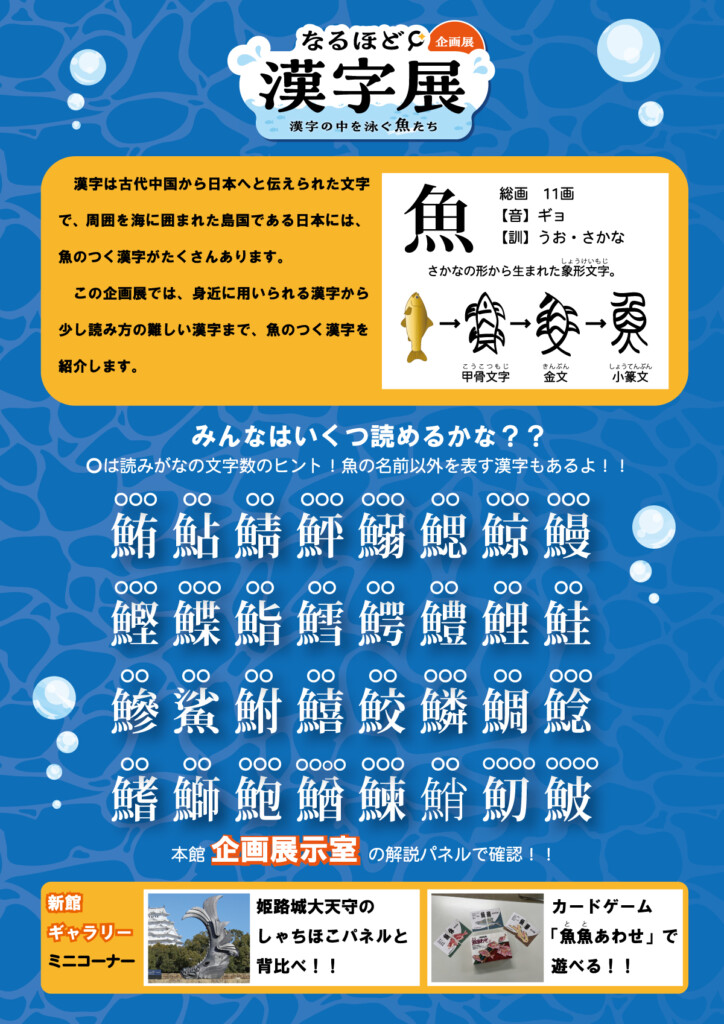 姫路市 水族館 イベント