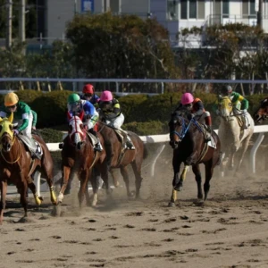 姫路競馬場　姫路