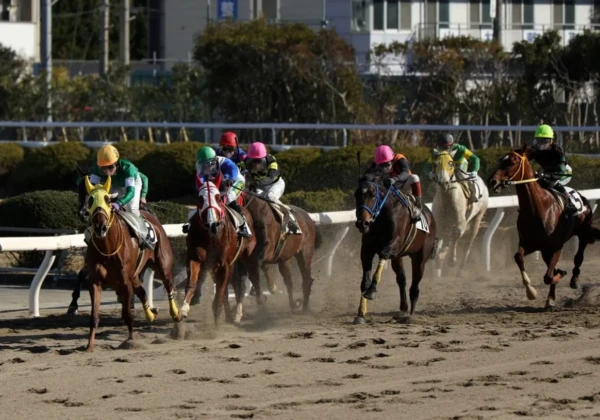 姫路競馬場　姫路