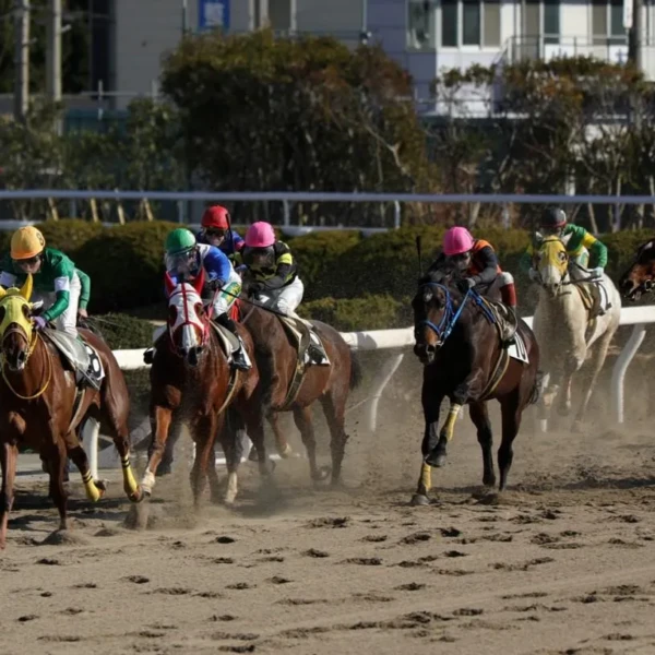 姫路競馬場　姫路