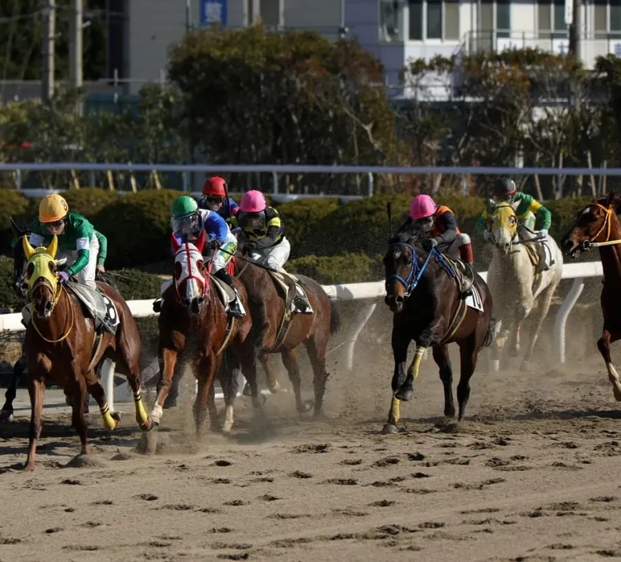 姫路競馬場　姫路