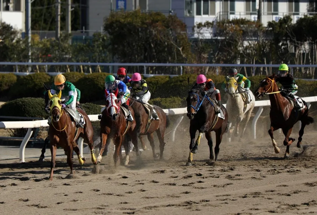 姫路競馬場 姫路